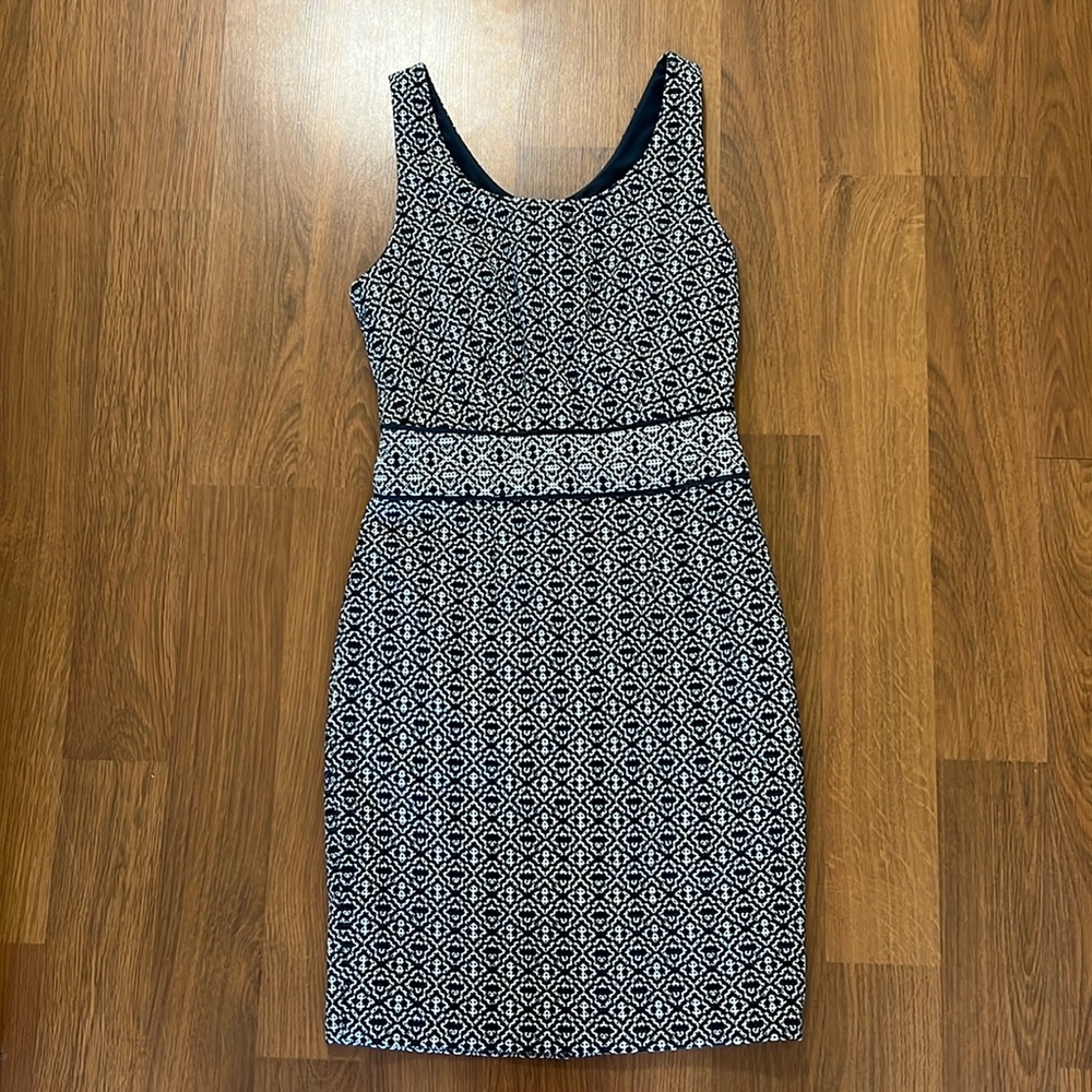 The Limited Dress